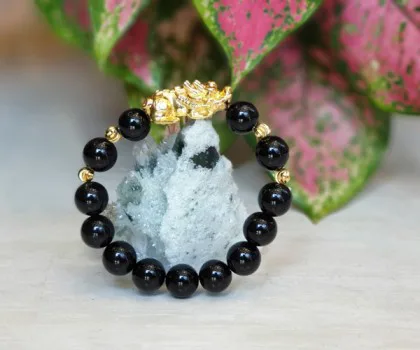 Chuỗi mã não đen có tỳ hưu crom vàng 12 li FS6820