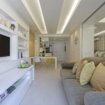 Căn hộ 45m² cực lạ và tiện nghi nhờ... chia đôi 1