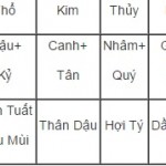 12 con giáp cưới vào năm nào thì mỹ mãn